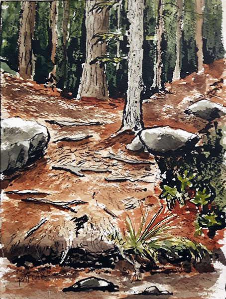"Algonquin-Trail" 6x8 ink & watercolour mounted on birch panel ($168) NOW 134$