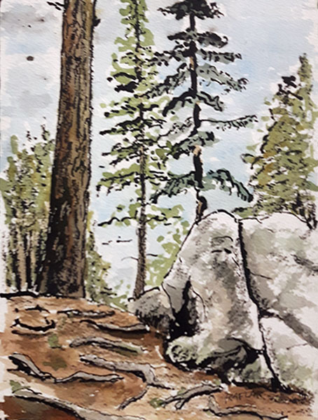 "Trail Roots" 6x8 ink & watercolour mounted on birch panel ($168) NOW 134$