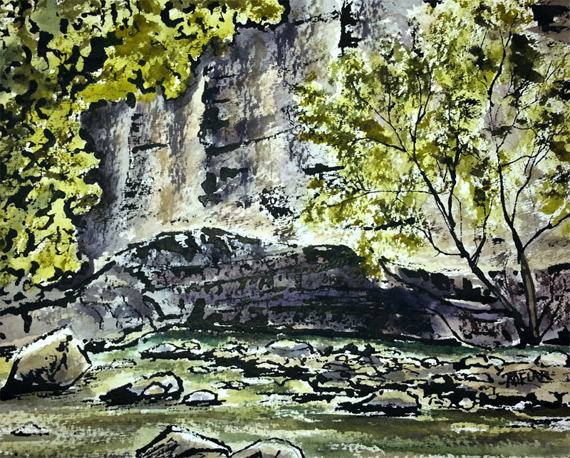 "Elora Gorge Crevase" 8x10 ink & watercolour, unframed but with matte($180) NOW 144$