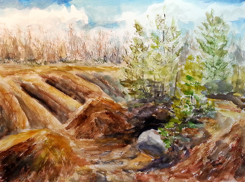 "Cheltanham Badlands" 11x14 watercolour, unframed but with matte ($260) NOW 208$