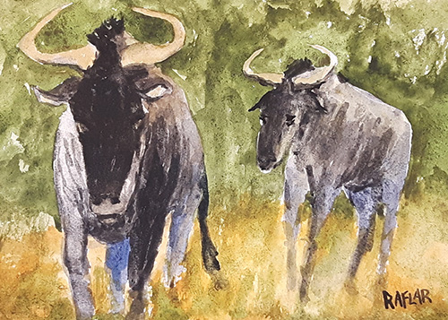 "Wildebeest" 5x7 watercolour mounted on birch panel ($144) NOW 115$