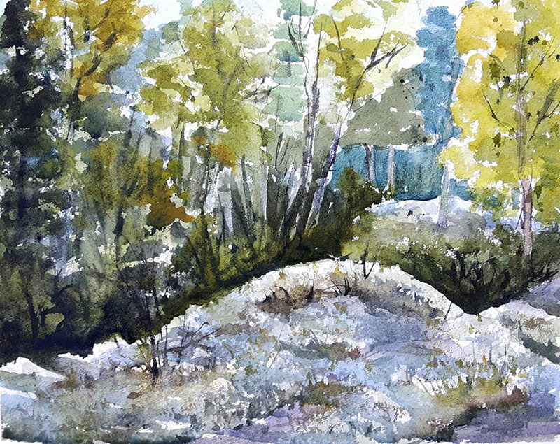 "Mossy rocks in the woods" 8x10 watercolour, unframed but with matte ($180) NOW 144$