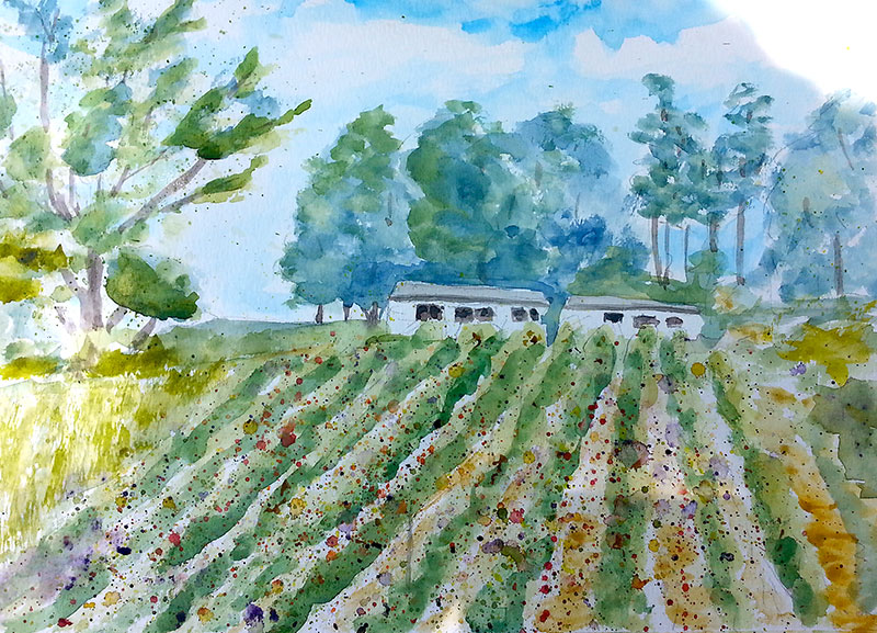 "Andrews Scenic Acres" 8x10 watercolour, unframed but with matte ($180) NOW 144$