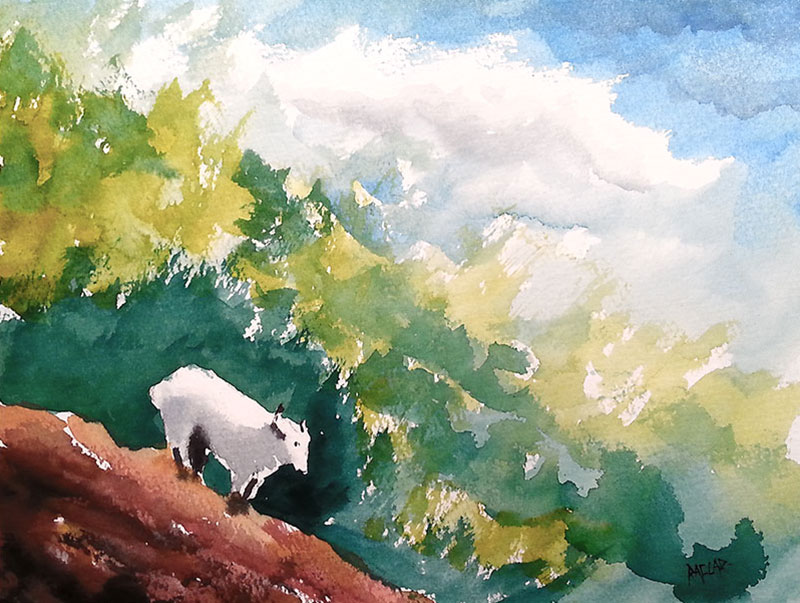 "Mountain Goat" 8x10 watercolour, unframed but with matte ($180) NOW 144$